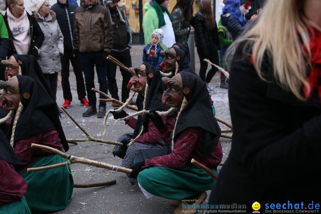 Narrensprung-Langenargen-140118-seechat_de-IMG_2397