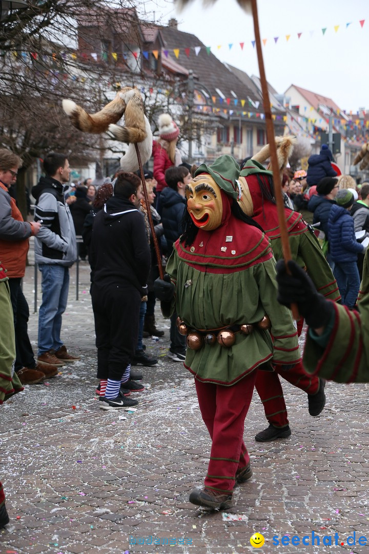 Narrensprung-Langenargen-140118-seechat_de-IMG_2453