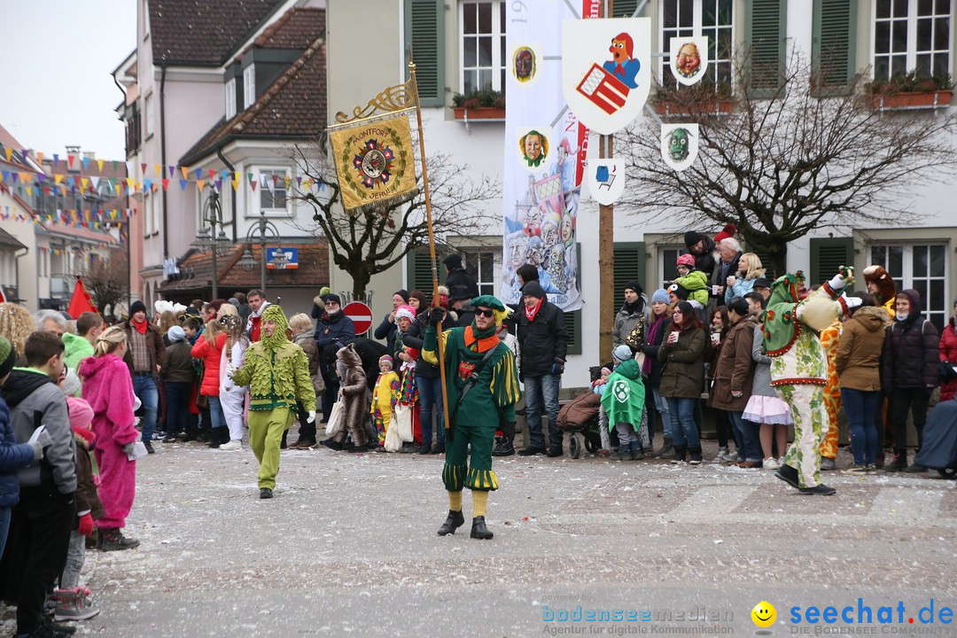 Narrensprung-Langenargen-140118-seechat_de-IMG_2454