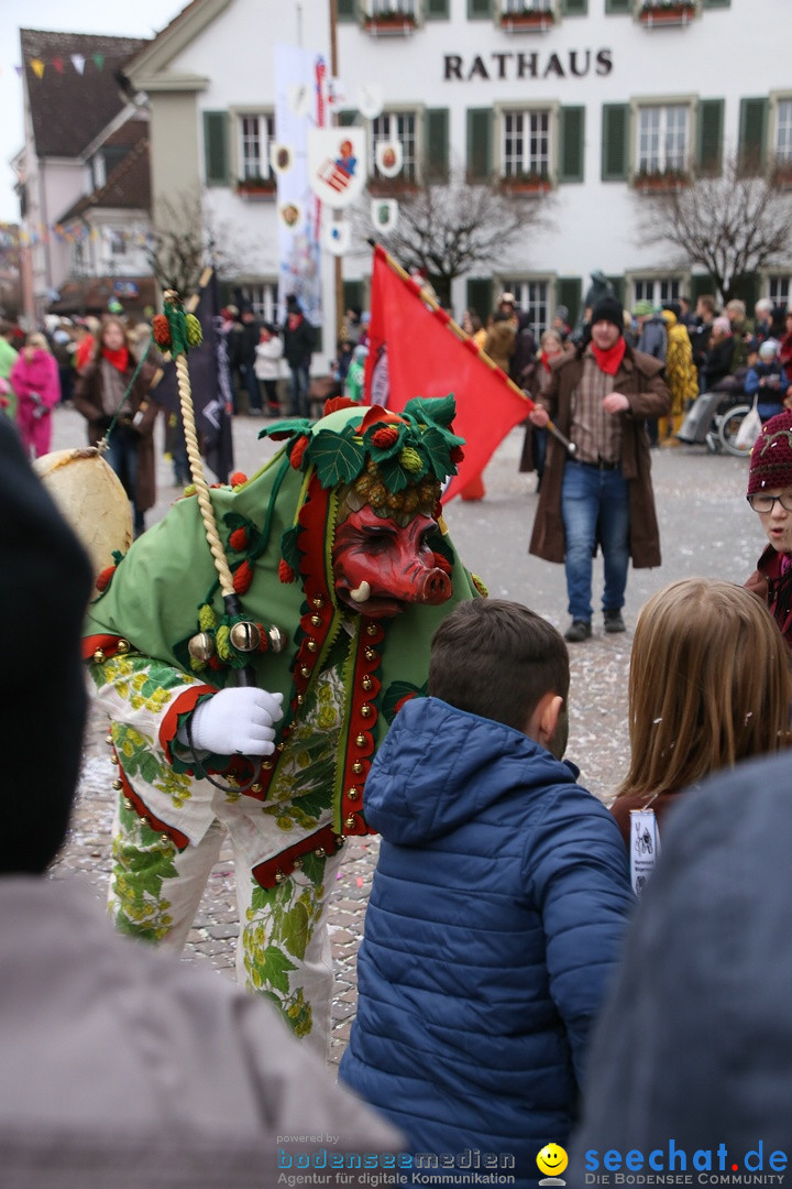 Narrensprung-Langenargen-140118-seechat_de-IMG_2455