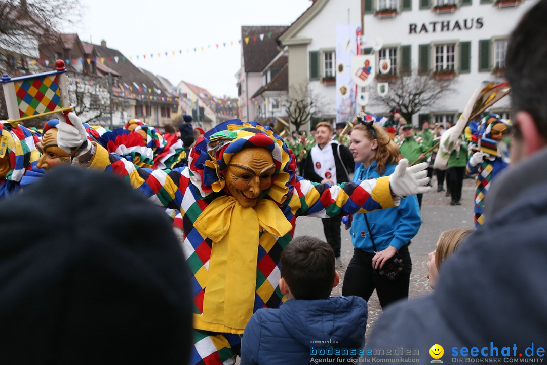 Narrensprung-Langenargen-140118-seechat_de-IMG_2464