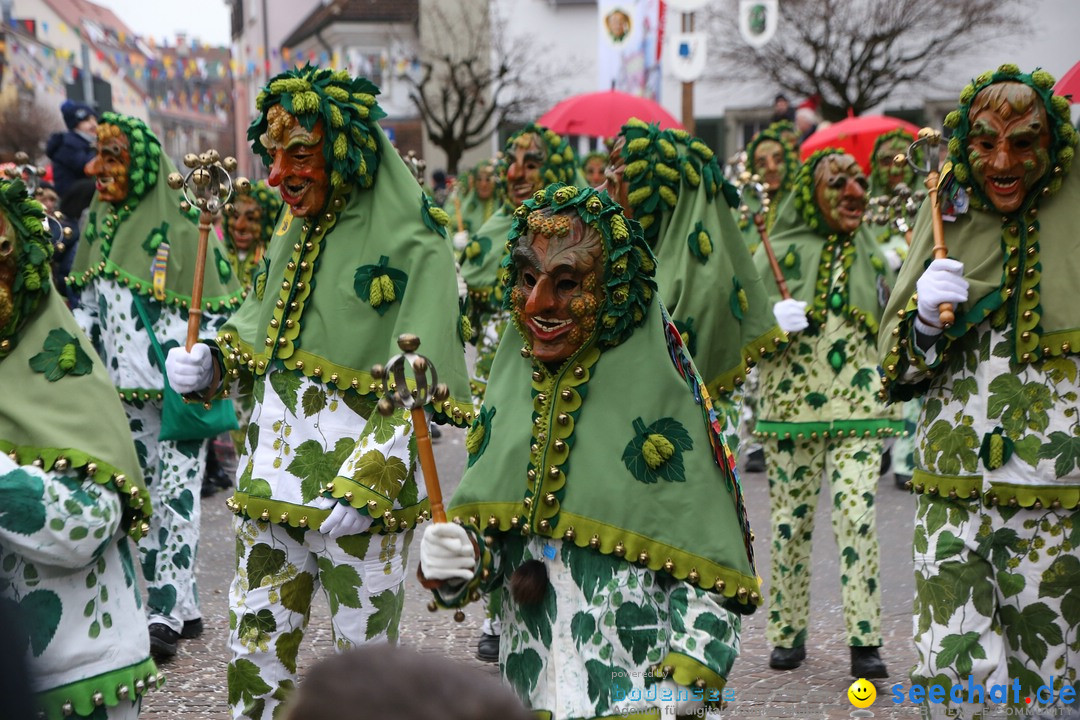 Narrensprung-Langenargen-140118-seechat_de-IMG_2468