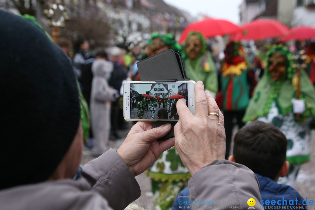 Narrensprung-Langenargen-140118-seechat_de-IMG_2470