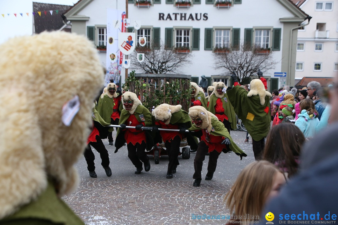 Narrensprung-Langenargen-140118-seechat_de-IMG_2475