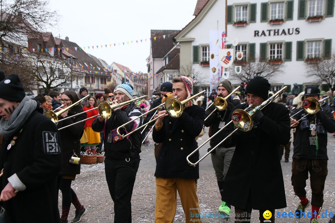 Narrensprung-Langenargen-140118-seechat_de-IMG_2484