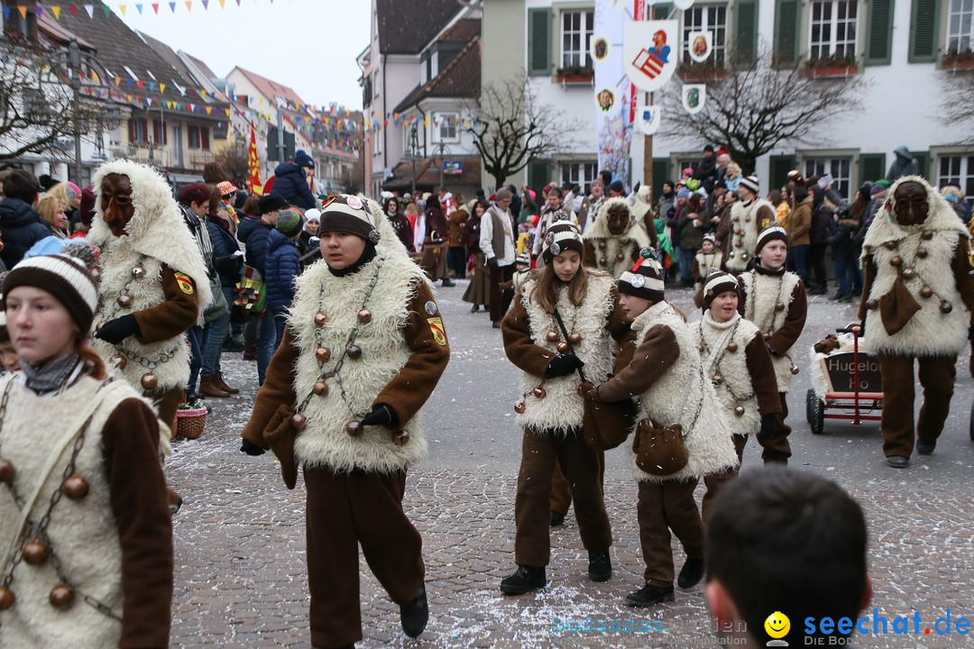 Narrensprung-Langenargen-140118-seechat_de-IMG_2485