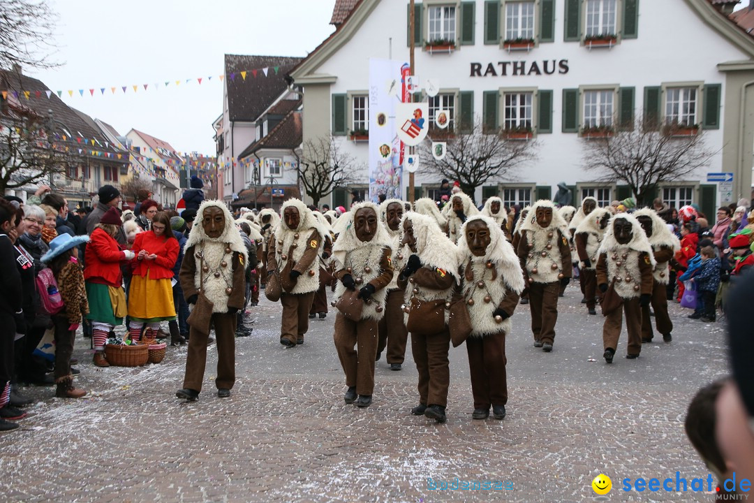 Narrensprung-Langenargen-140118-seechat_de-IMG_2489