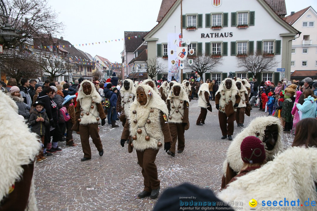 Narrensprung-Langenargen-140118-seechat_de-IMG_2490