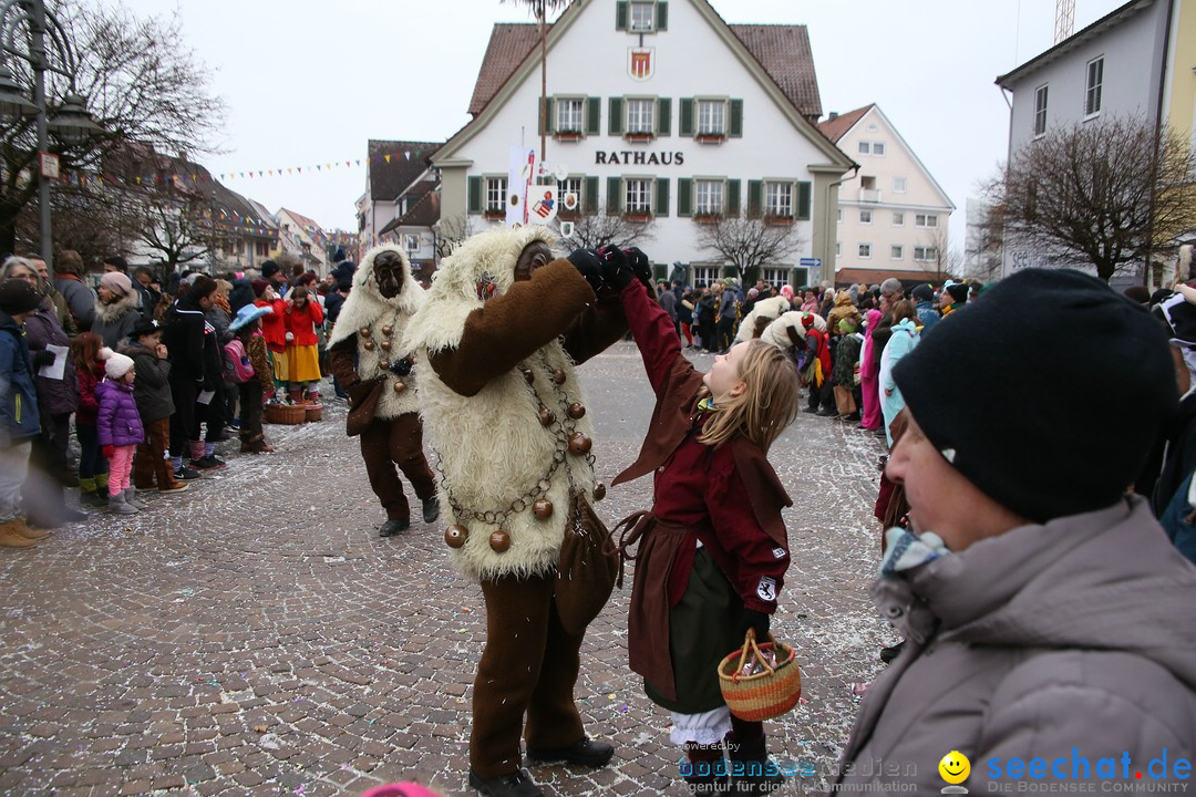 Narrensprung-Langenargen-140118-seechat_de-IMG_2492