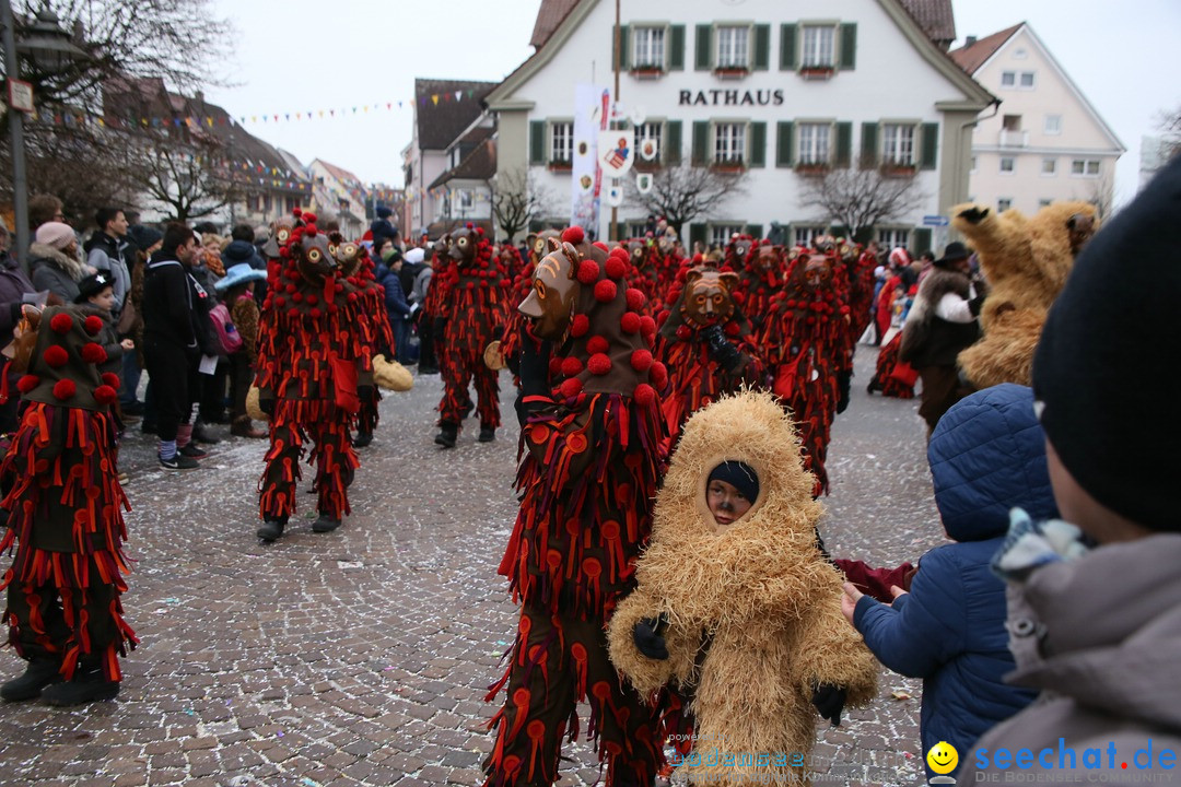 Narrensprung-Langenargen-140118-seechat_de-IMG_2496