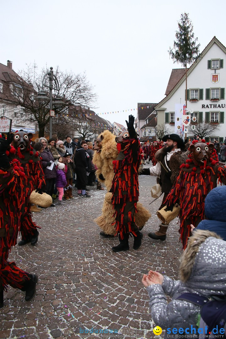 Narrensprung-Langenargen-140118-seechat_de-IMG_2498