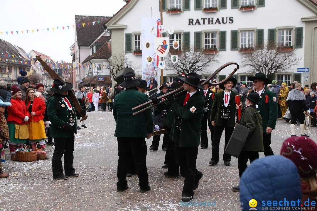 Narrensprung-Langenargen-140118-seechat_de-IMG_2503