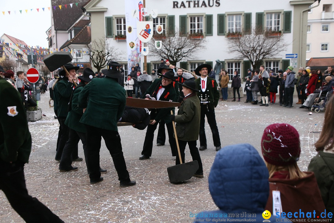 Narrensprung-Langenargen-140118-seechat_de-IMG_2504