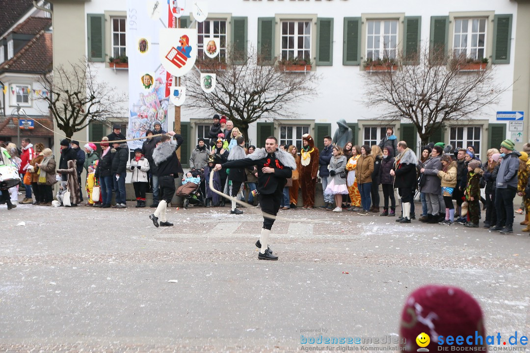 Narrensprung-Langenargen-140118-seechat_de-IMG_2506