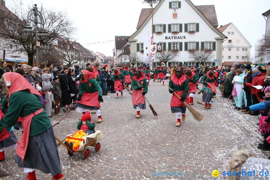 Narrensprung-Langenargen-140118-seechat_de-IMG_2521