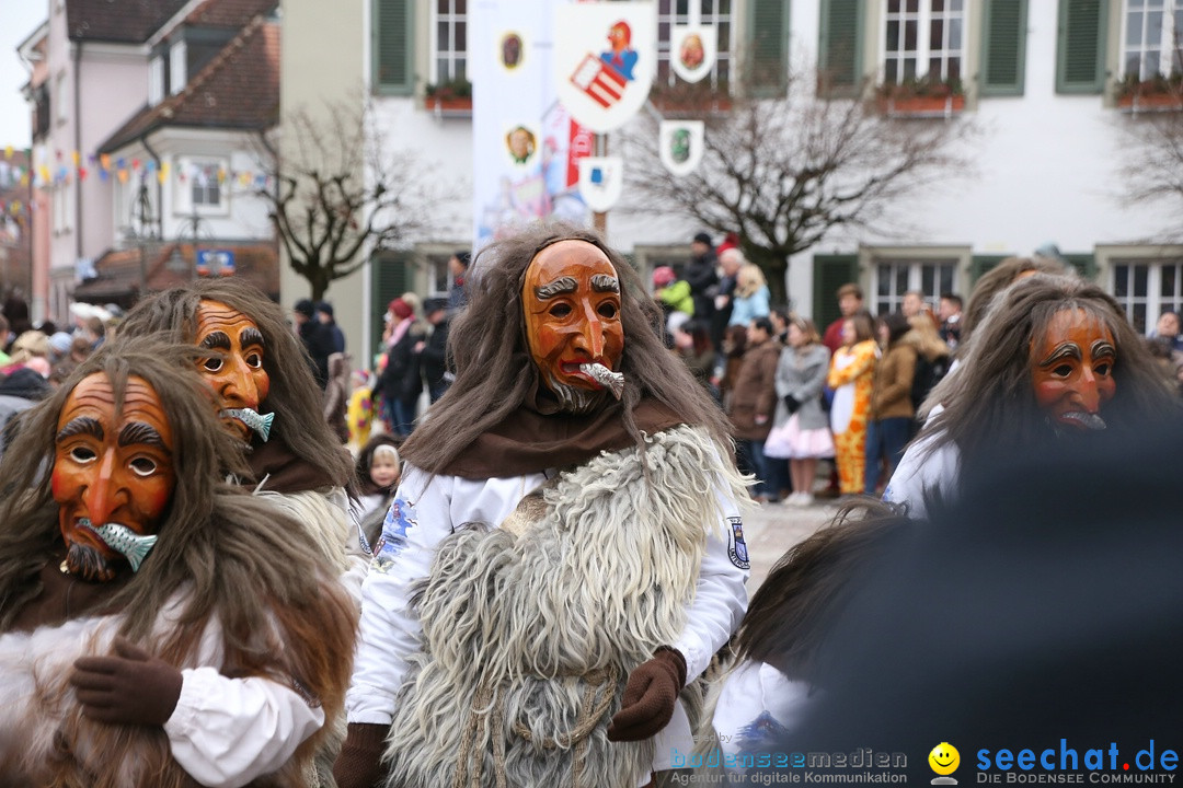 Narrensprung-Langenargen-140118-seechat_de-IMG_2525