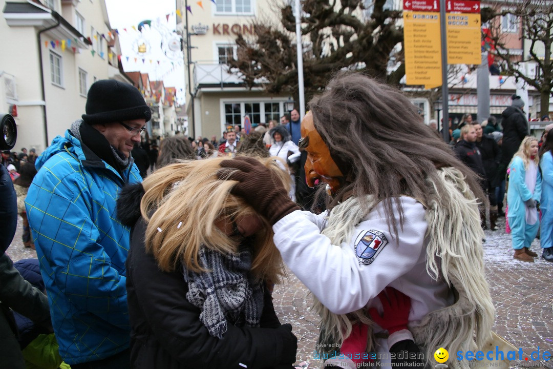 Narrensprung-Langenargen-140118-seechat_de-IMG_2526