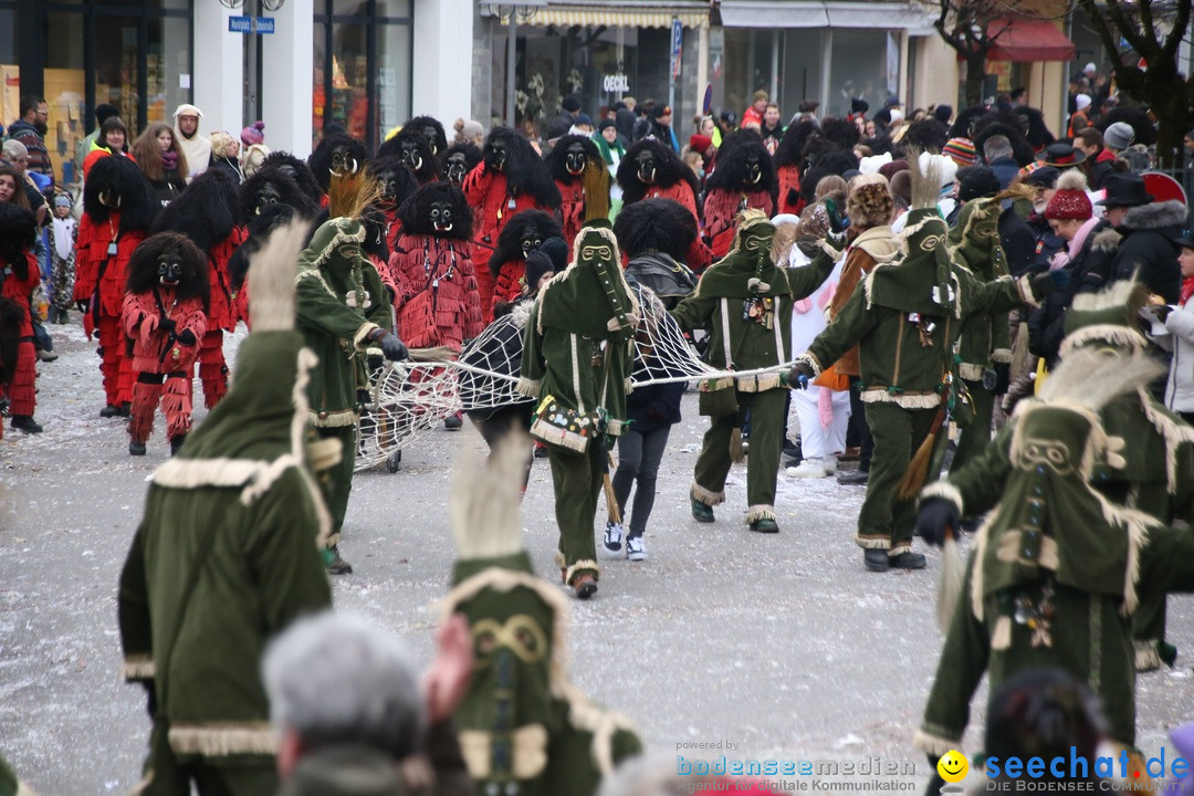 Narrensprung-Langenargen-140118-seechat_de-IMG_2539