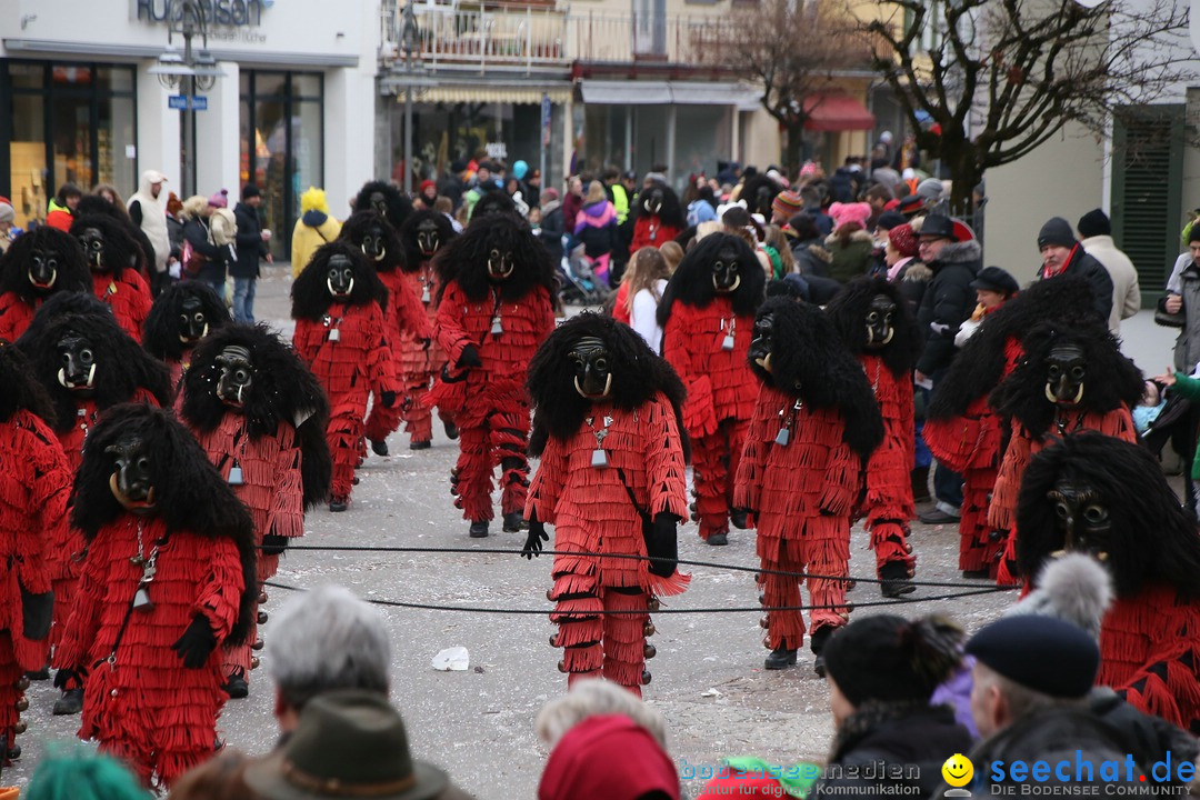 Narrensprung-Langenargen-140118-seechat_de-IMG_2542