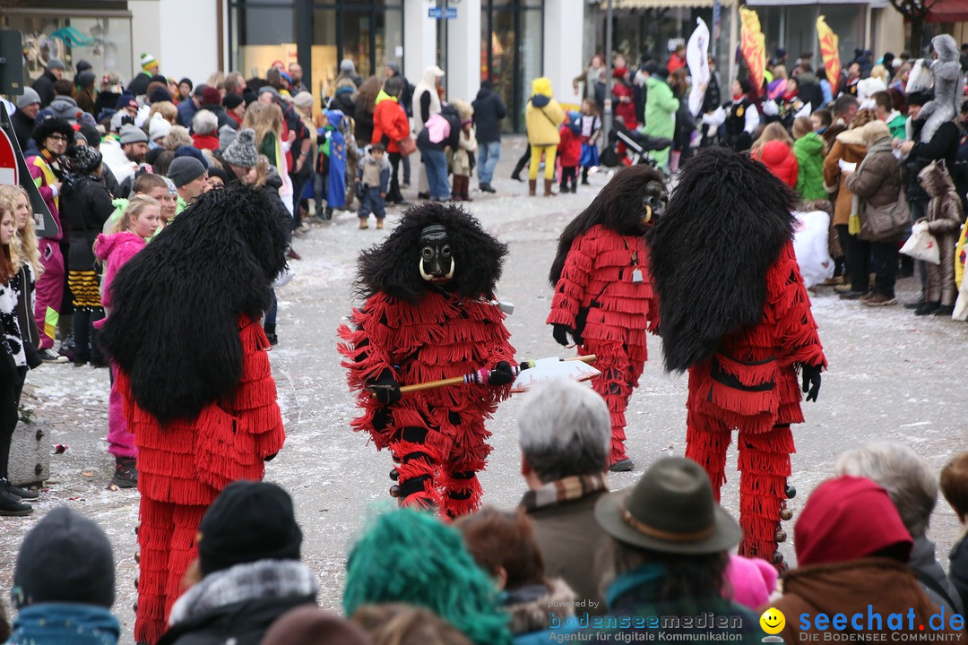 Narrensprung-Langenargen-140118-seechat_de-IMG_2545