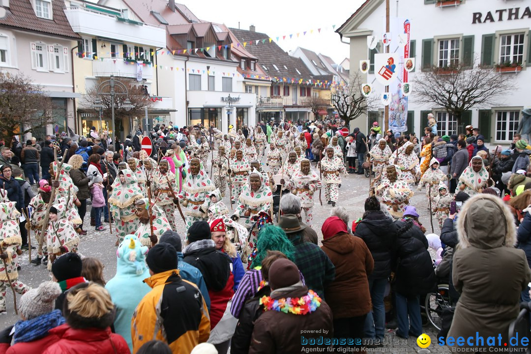 Narrensprung-Langenargen-140118-seechat_de-IMG_2556