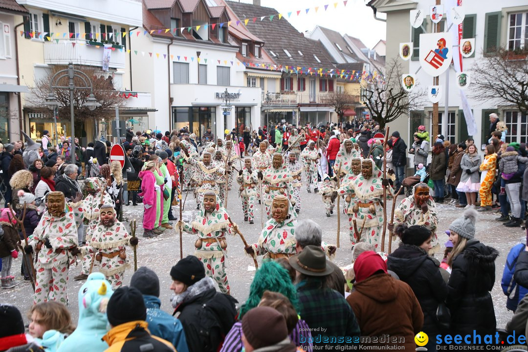 Narrensprung-Langenargen-140118-seechat_de-IMG_2557