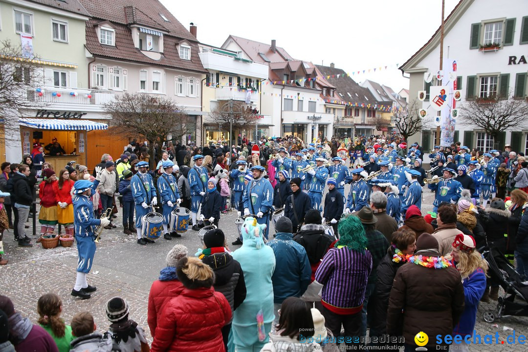 Narrensprung-Langenargen-140118-seechat_de-IMG_2568