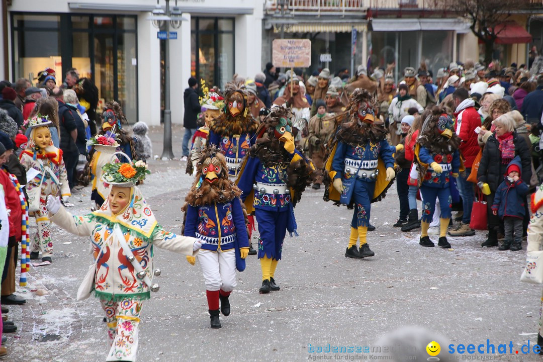 Narrensprung-Langenargen-140118-seechat_de-IMG_2570