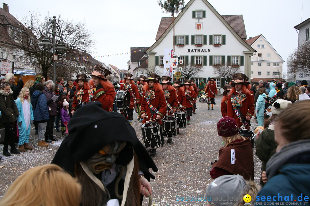 Narrensprung-Langenargen-140118-seechat_de-IMG_2618