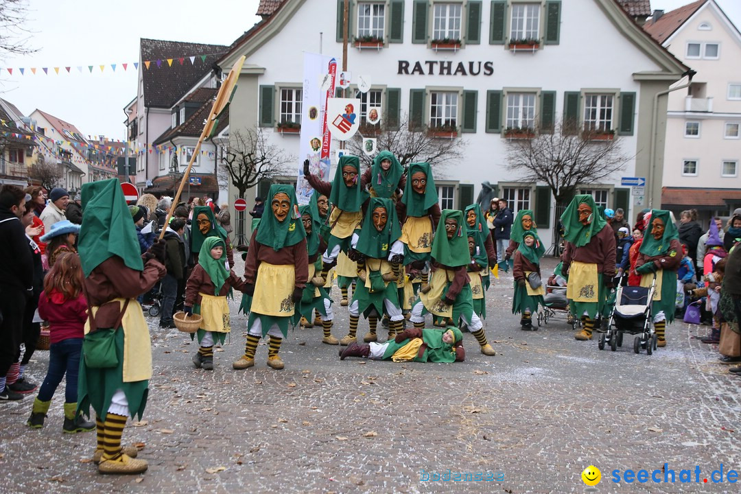 Narrensprung-Langenargen-140118-seechat_de-IMG_2620