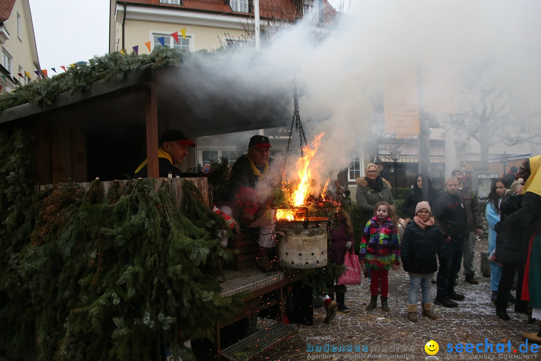 Narrensprung-Langenargen-140118-seechat_de-IMG_2658