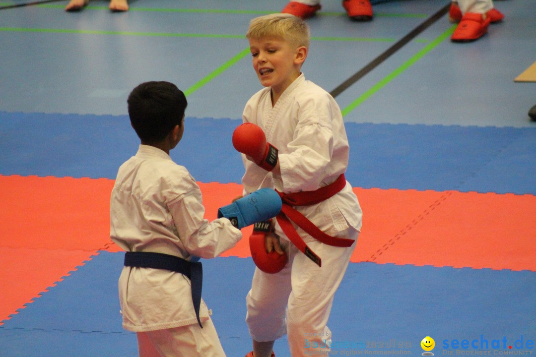 Karate-Show: Kreuzlingen am Bodensee, 21.01.2018