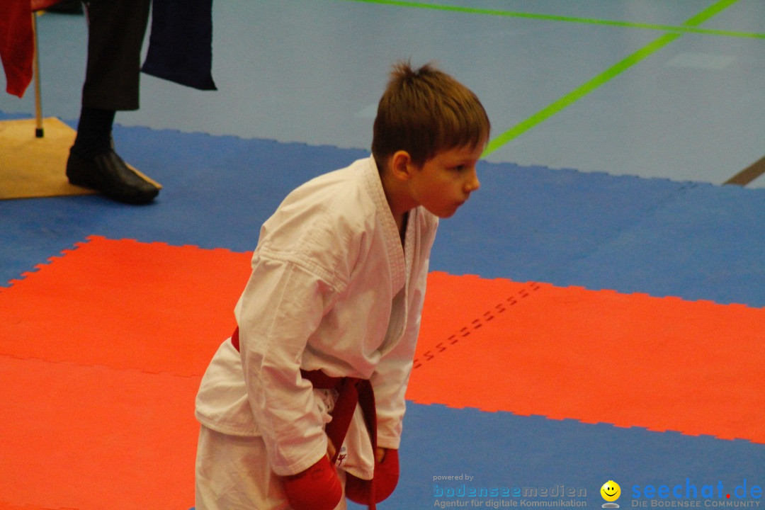 Karate-Show: Kreuzlingen am Bodensee, 21.01.2018