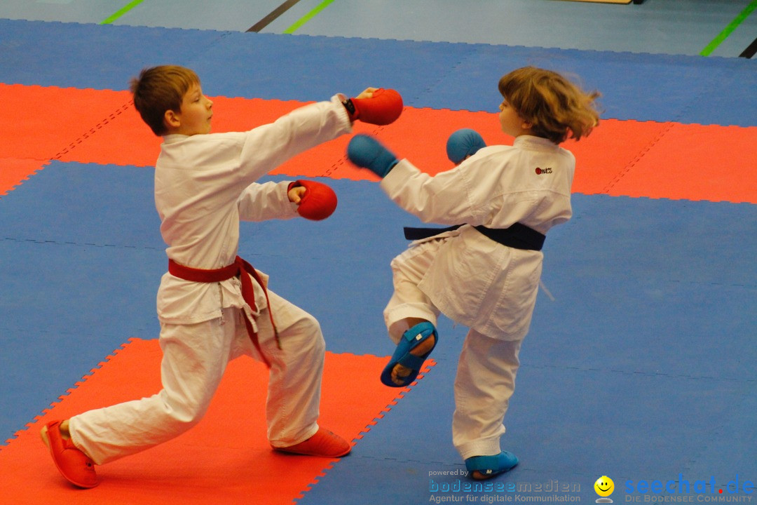 Karate-Show: Kreuzlingen am Bodensee, 21.01.2018