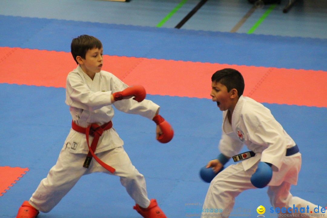 Karate-Show: Kreuzlingen am Bodensee, 21.01.2018