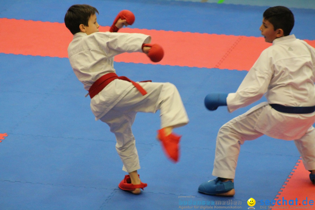 Karate-Show: Kreuzlingen am Bodensee, 21.01.2018