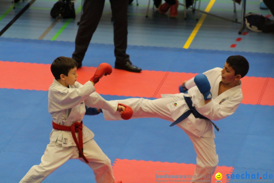 Karate-Show: Kreuzlingen am Bodensee, 21.01.2018