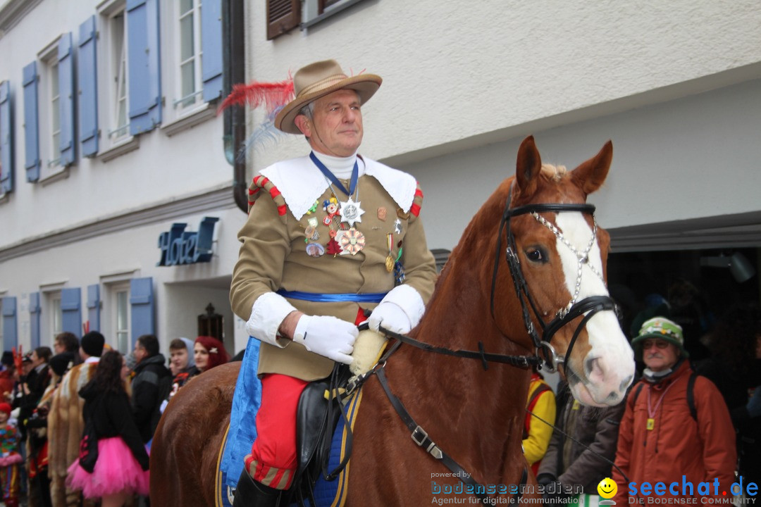 VSAN-Landschaftstreffen: Bad-Waldsee, 28.01.2018