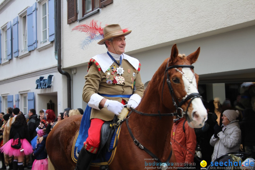 VSAN-Landschaftstreffen: Bad-Waldsee, 28.01.2018