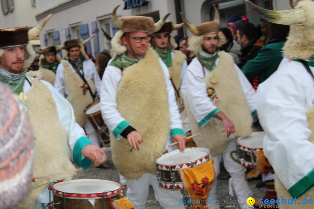 VSAN-Landschaftstreffen: Bad-Waldsee, 28.01.2018