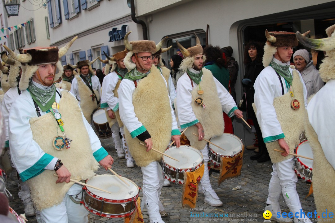 VSAN-Landschaftstreffen: Bad-Waldsee, 28.01.2018