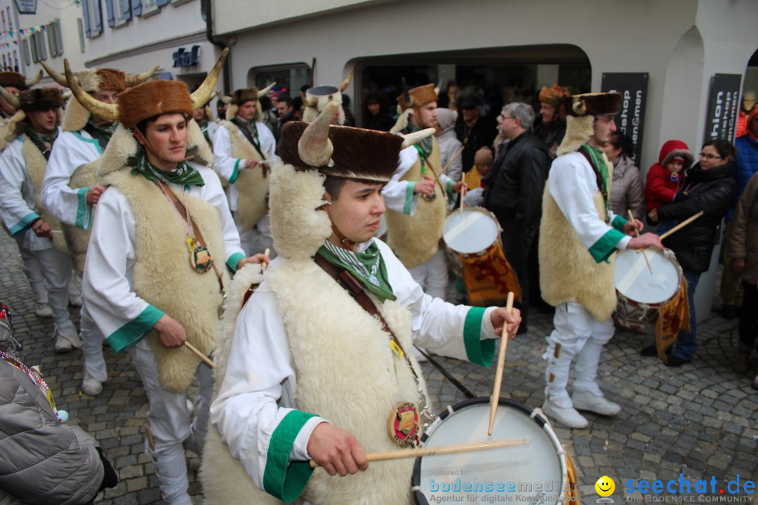 VSAN-Landschaftstreffen: Bad-Waldsee, 28.01.2018