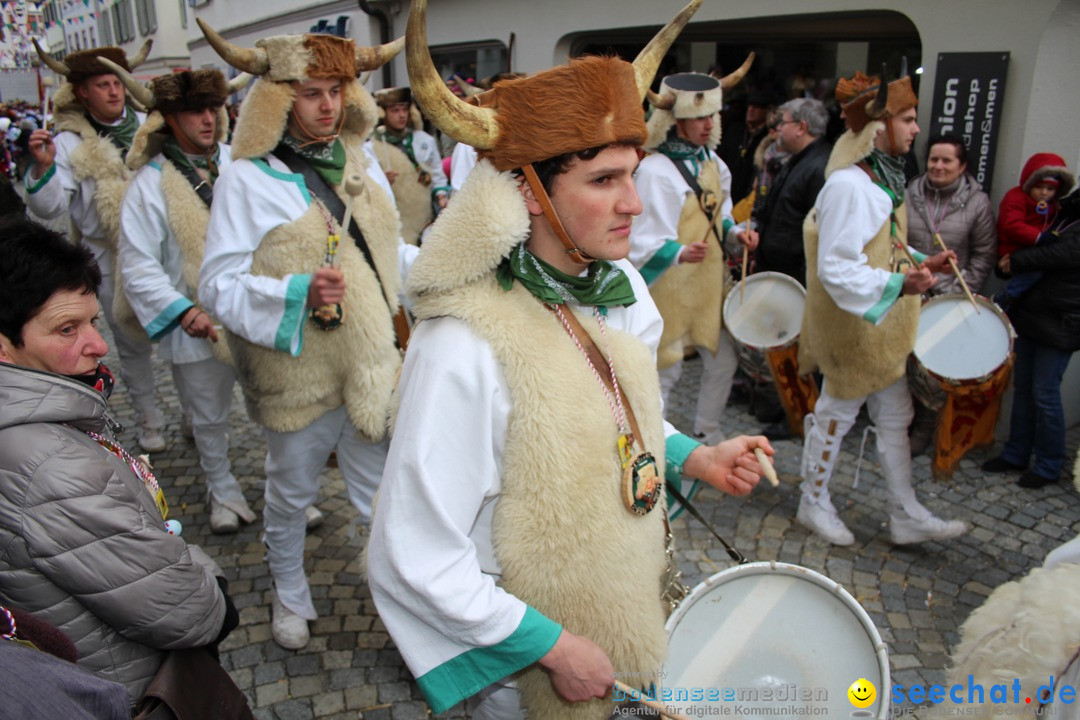 VSAN-Landschaftstreffen: Bad-Waldsee, 28.01.2018