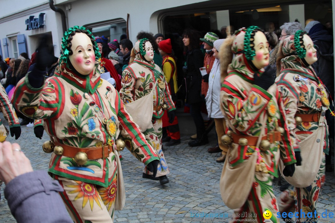 VSAN-Landschaftstreffen: Bad-Waldsee, 28.01.2018