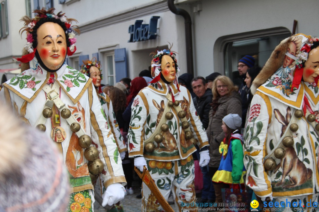 VSAN-Landschaftstreffen: Bad-Waldsee, 28.01.2018