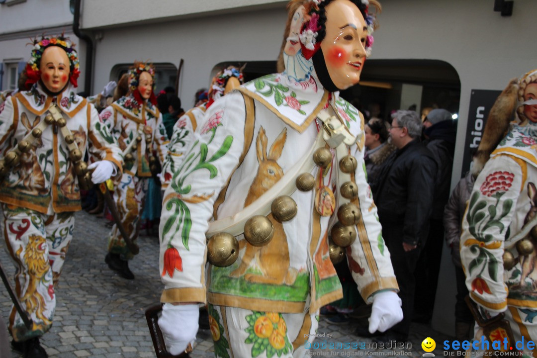 VSAN-Landschaftstreffen: Bad-Waldsee, 28.01.2018