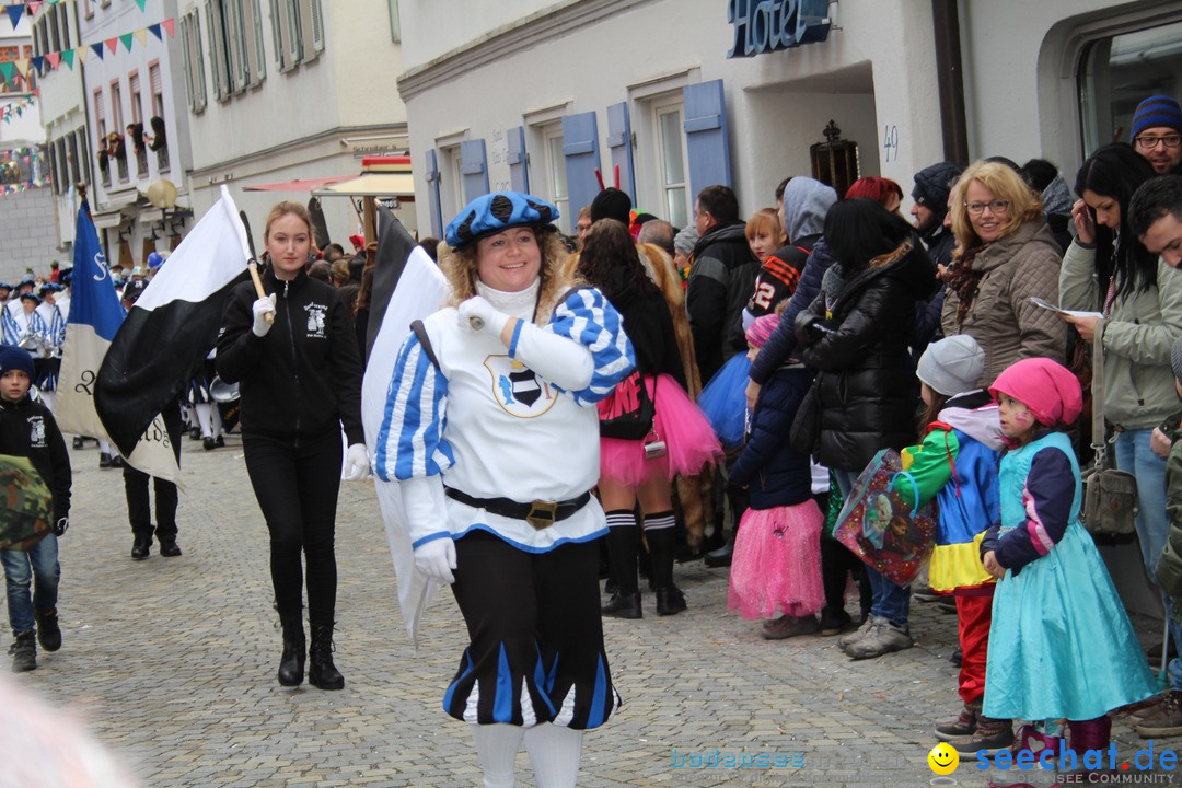 VSAN-Landschaftstreffen: Bad-Waldsee, 28.01.2018