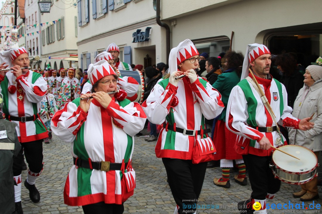 VSAN-Landschaftstreffen: Bad-Waldsee, 28.01.2018