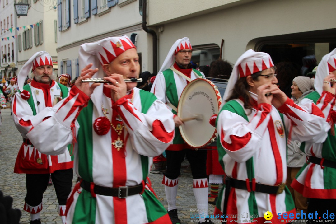 VSAN-Landschaftstreffen: Bad-Waldsee, 28.01.2018