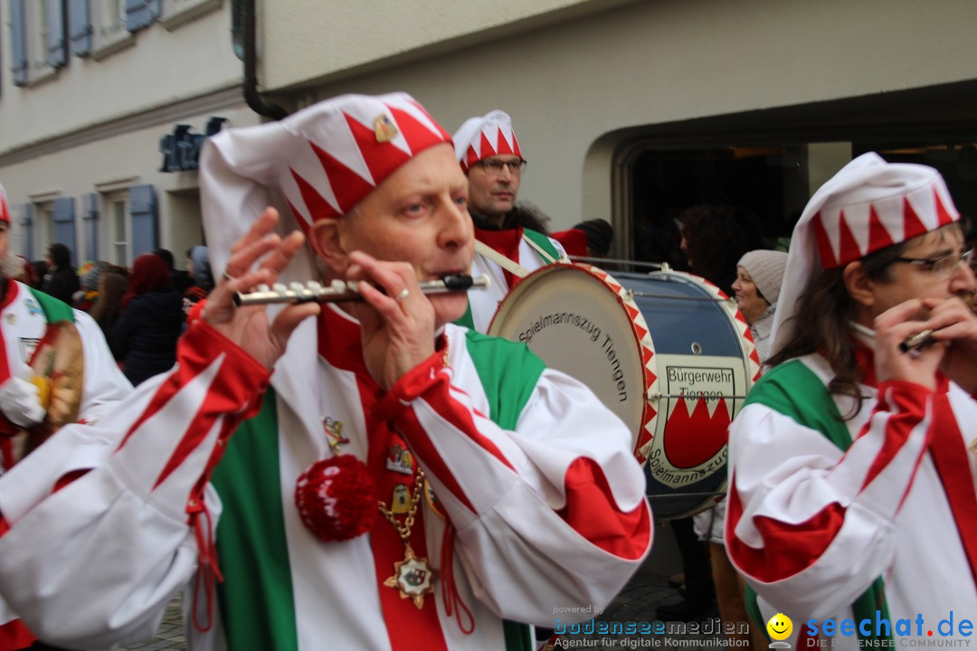 VSAN-Landschaftstreffen: Bad-Waldsee, 28.01.2018